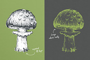 Dotwork Forest Animals, an Animal Illustration by nordicworker (Thumbnail 3 of 6)