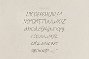 SWEET BIRDY – Handwritten Font, a Script Font by Hybridbee Design (Thumbnail 5 of 10)