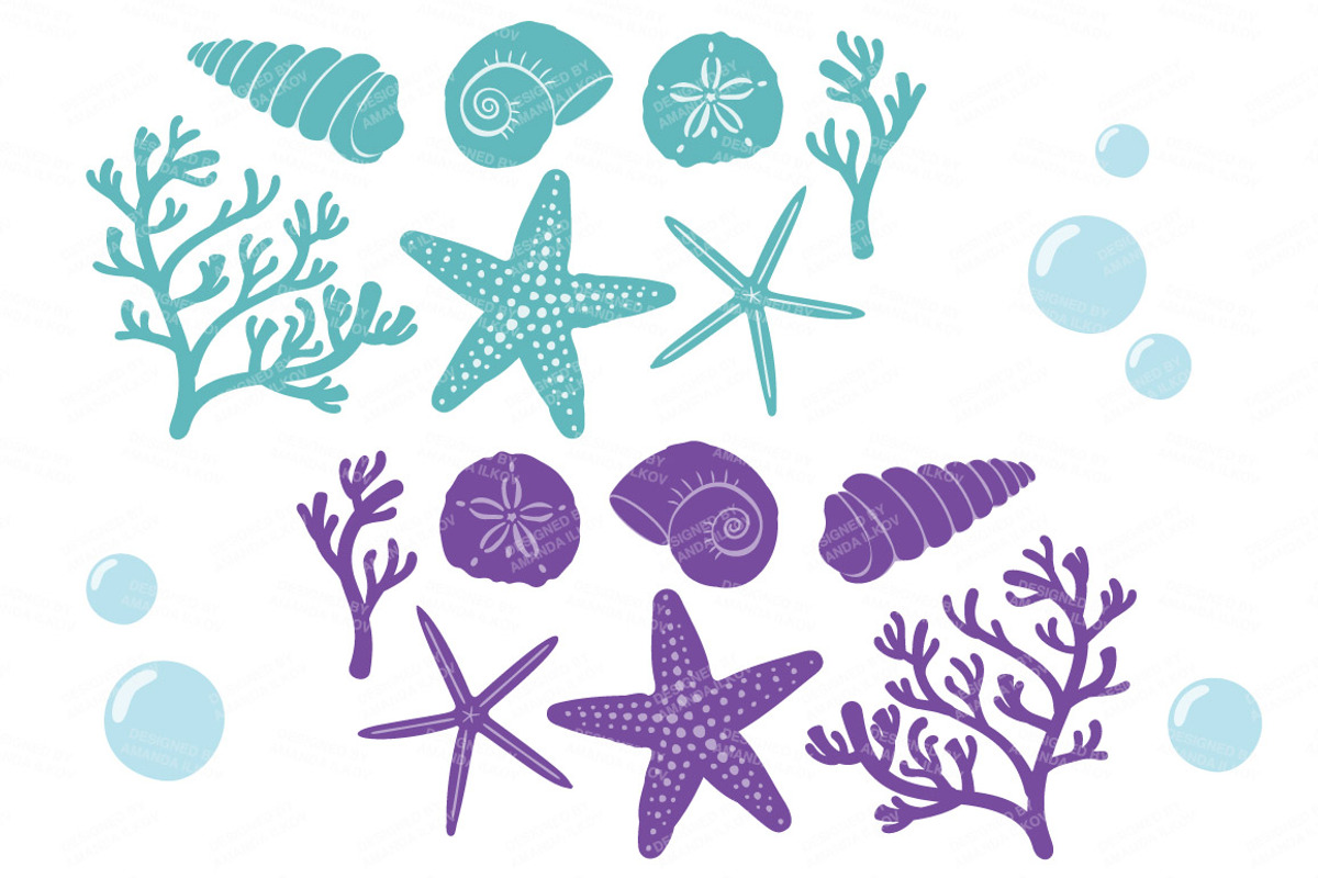 Seashells Clipart in Crayon Box, an Illustration by Amanda Ilkov (Photo 5 of 5)