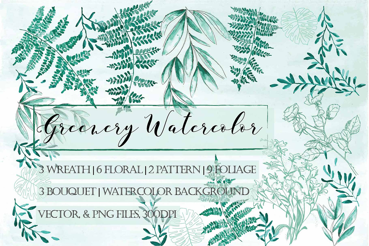 Forest Greenery Collection, an Illustration by Arie Clares (Photo 1 of 6)