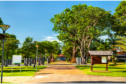 Botanical garden in Cayenne, capital, a Nature Photo by Leonid Andronov