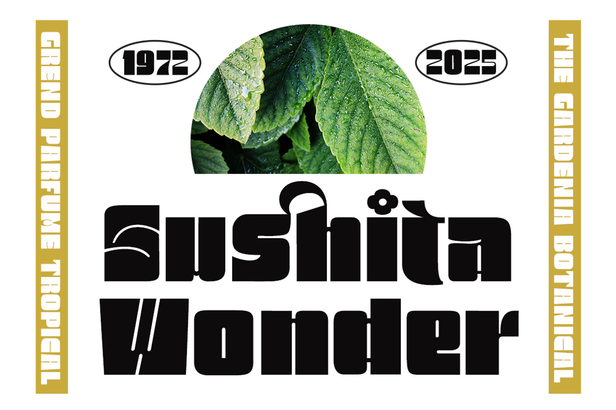 Malista, a Sans Serif Font by Genesis Lab (Photo 4 of 15)