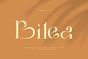 Bilea - Unique Brilliant Font, a Serif Font by suhadidesign (Thumbnail 1 of 14)