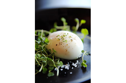 Perfectly poached egg on microgreens, a Food & Drink Photo by Lermont51