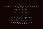 SALINCA Unique Serif Typeface, a Serif Font by yaqublekker (Thumbnail 9 of 9)