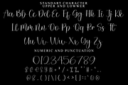 Queen Christmas, a Handwritten Font by FreshTypeINK (Thumbnail 2 of 8)