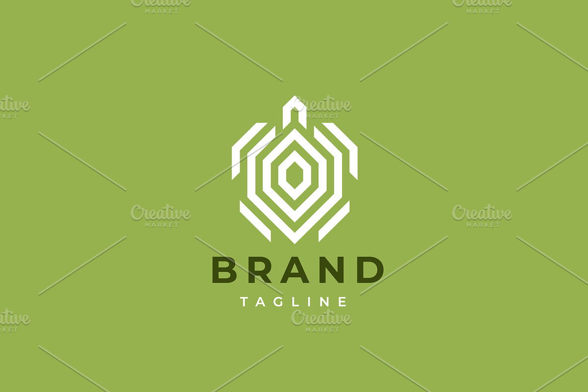 Turtle logo design., a Branding & Logo Template by lettett