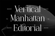 Lunar Type - Family Serif Font, a Serif Font by Flawless And Co (Thumbnail 2 of 10)