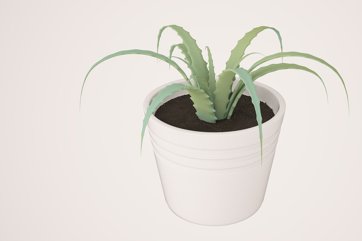 Plant n°1, an Object 3D Model by 3D Furnishing (Photo 8 of 20)