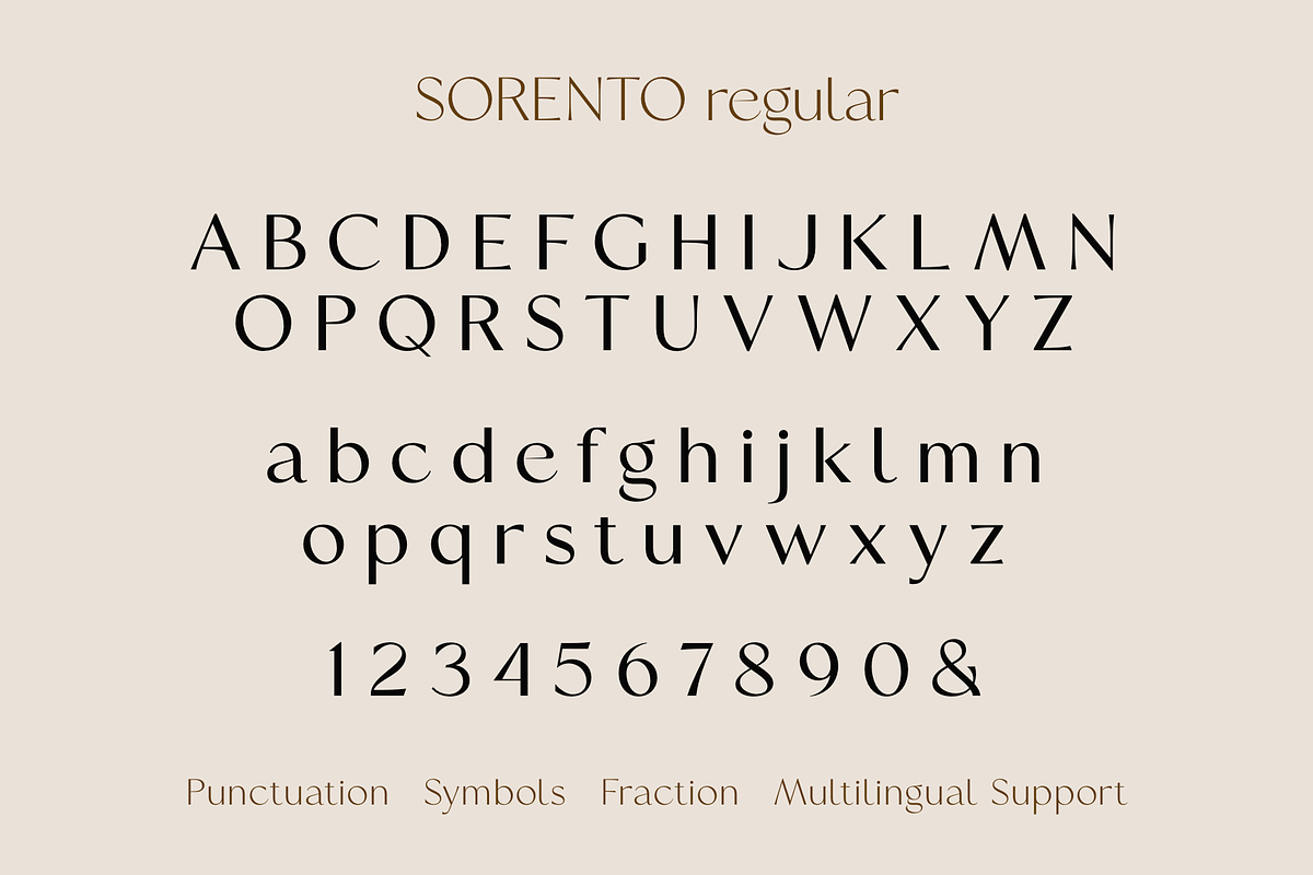 Sorento | Font Family, a Sans Serif Font by Larin Type Co. (Photo 14 of 15)