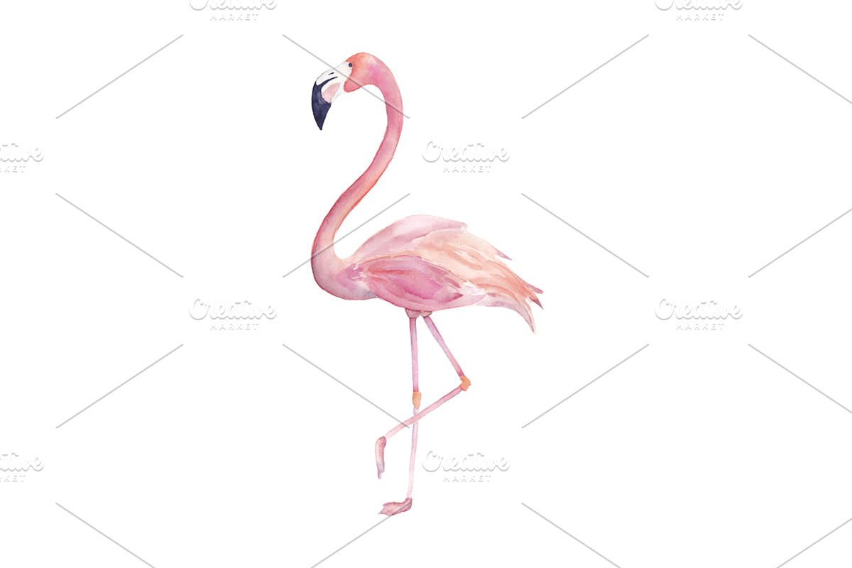 Watercolor Flamingo, an Object Graphic by Natikka Art