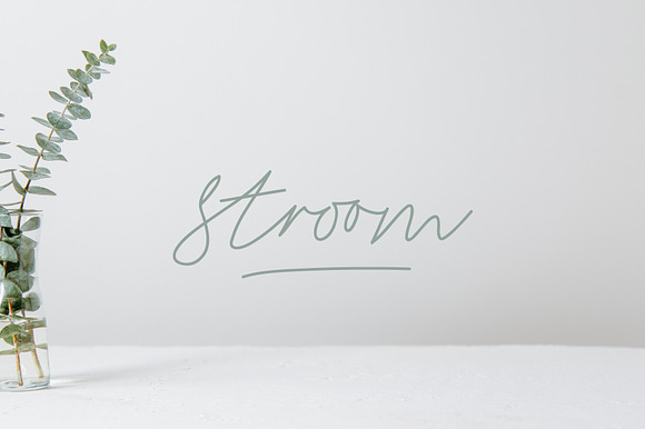 Stroom Signature Script Font