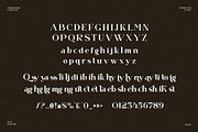 Qaiken Elegant Ligature Serif Font, a Serif Font by Perfectype (Thumbnail 6 of 6)
