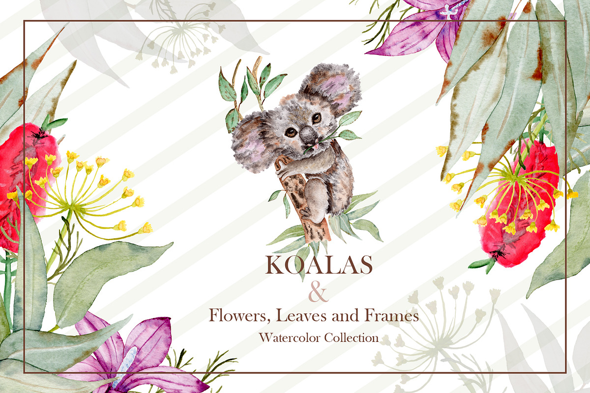 Watercolor Koala Collection, an Illustration by TanataDesign (Photo 1 of 10)