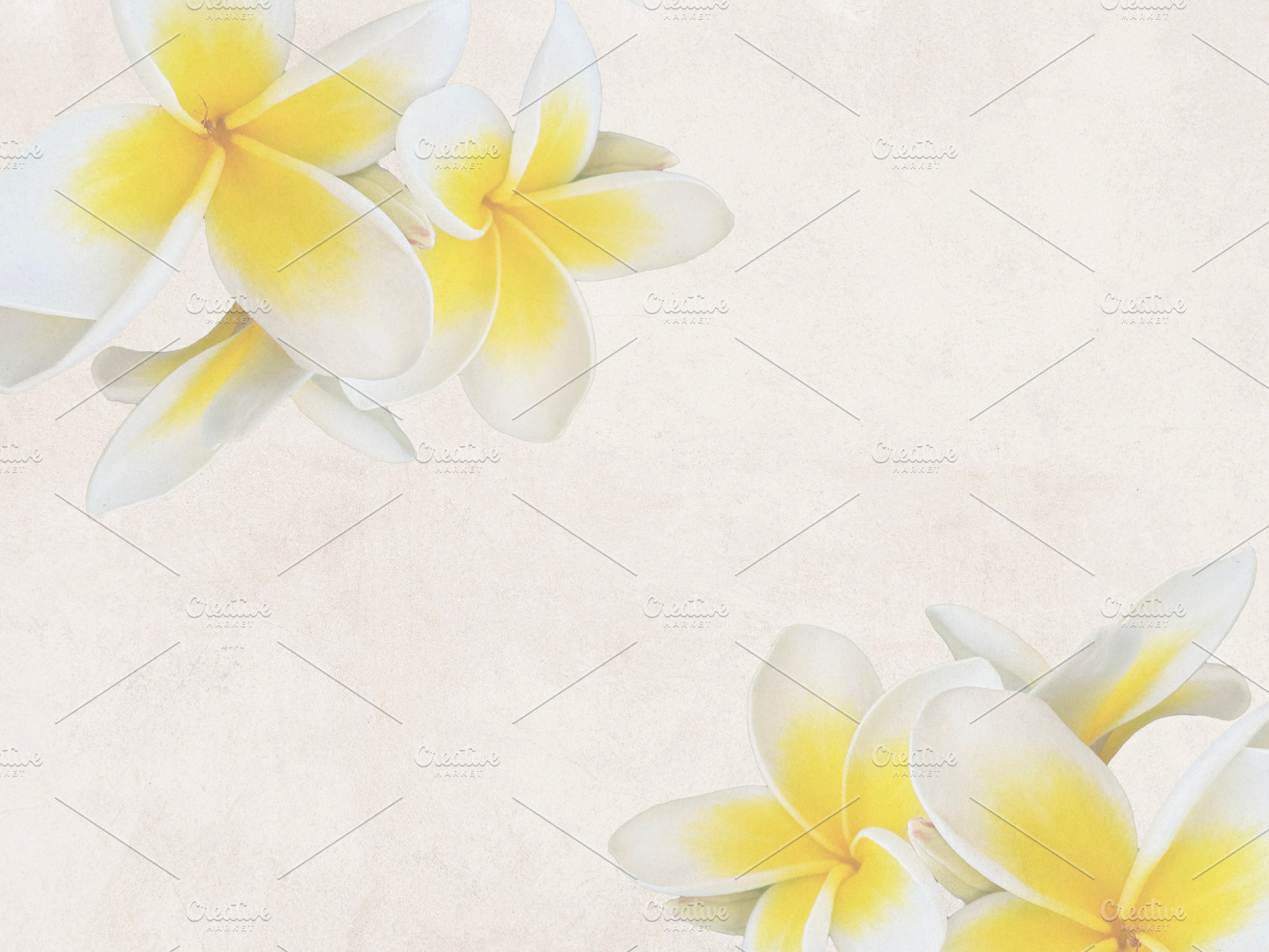 A digitally stylized background, a Nature Photo by Imaginarium