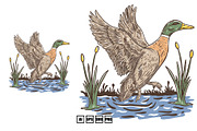 duck hunting community illustration, an Illustration by kalehstudio (Thumbnail 3 of 5)
