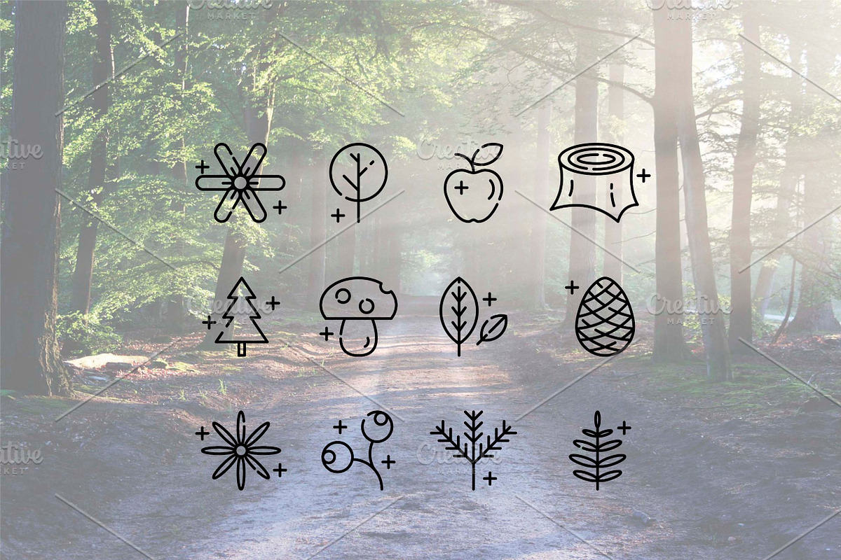 Nature line icons, a Duotone Icon by Lyolya Profitrolya (Photo 2 of 2)