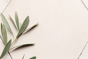 Olive branches framing neutral hexagonal tile background with co, a Background Photo by Olena Rudo