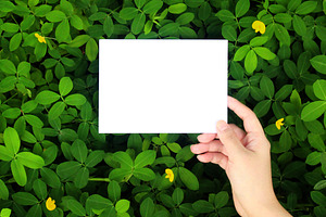 Greenery Mockup, Styled Stock Photo