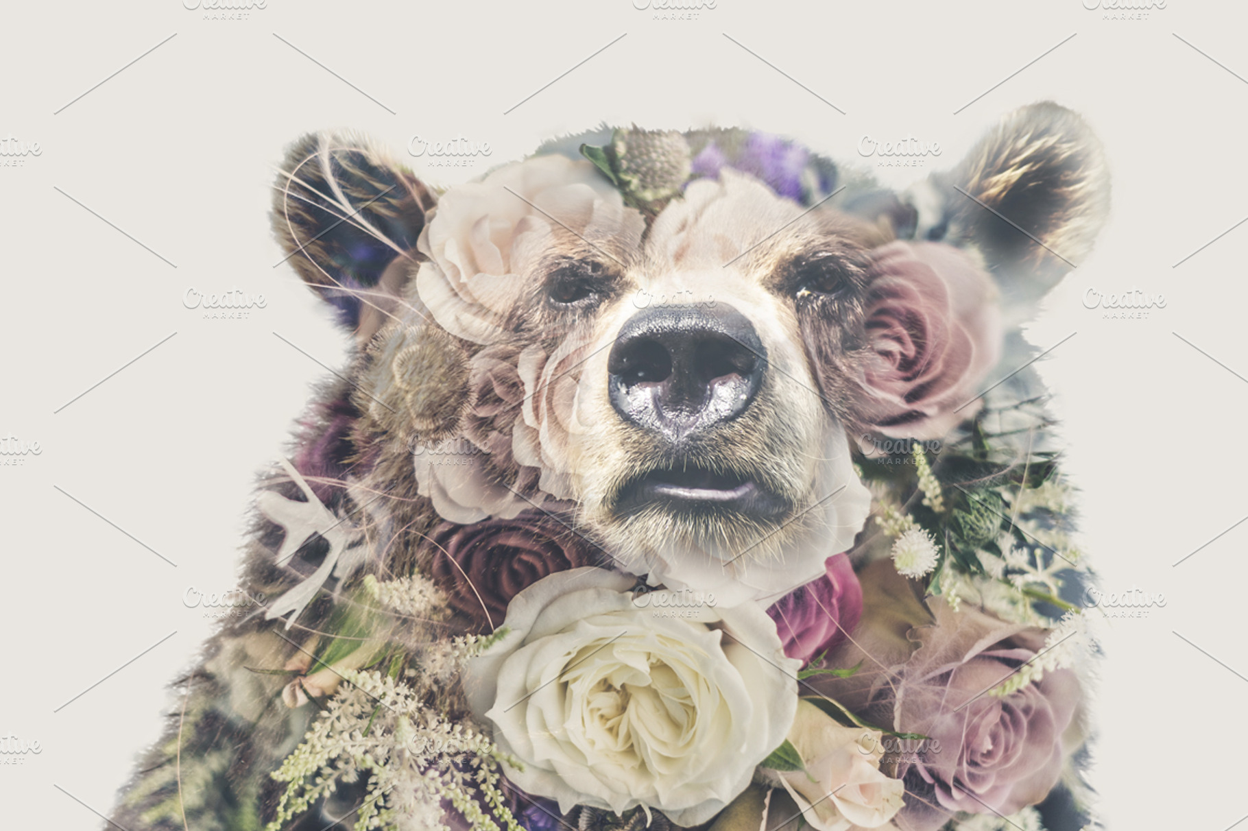 Double Exposure 'Bear and Roses', an Animal Photo by Bugcessories