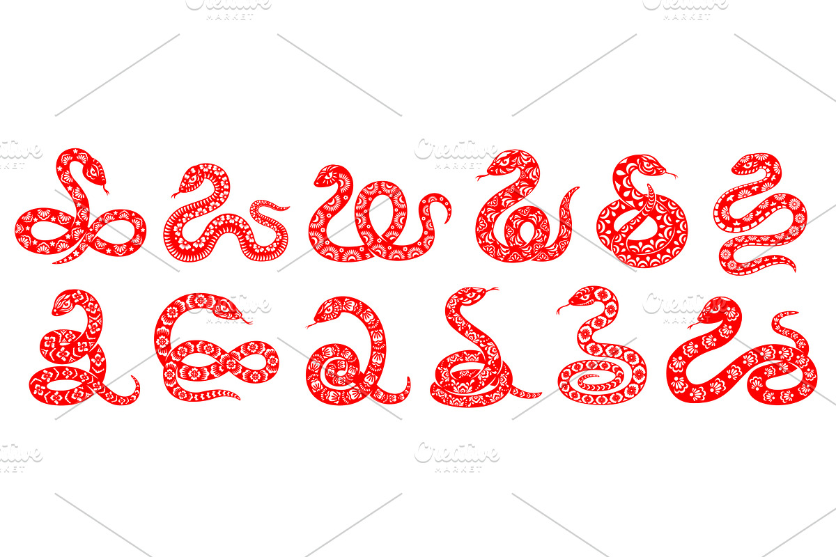 Snake reptiles set, lunar New Year, an Animal Illustration by Vector Tradition