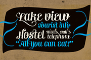 Verner, a Script Font by Fenotype (Thumbnail 3 of 6)