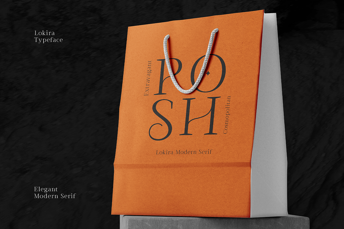 CF Lokira - modern Elegant Serif, a Serif Font by Indotype Foundry (Photo 8 of 10)