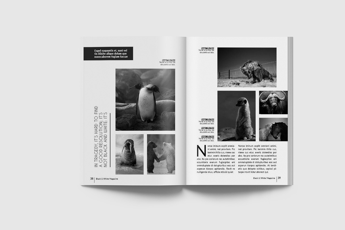 A5 Multipurpose Magazine Template, a Magazine Template by Uloel Design (Photo 12 of 12)