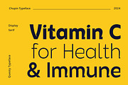 Chupin Display Sans, a Sans Serif Font by Patria Ari (P4tcreativa) (Thumbnail 5 of 9)