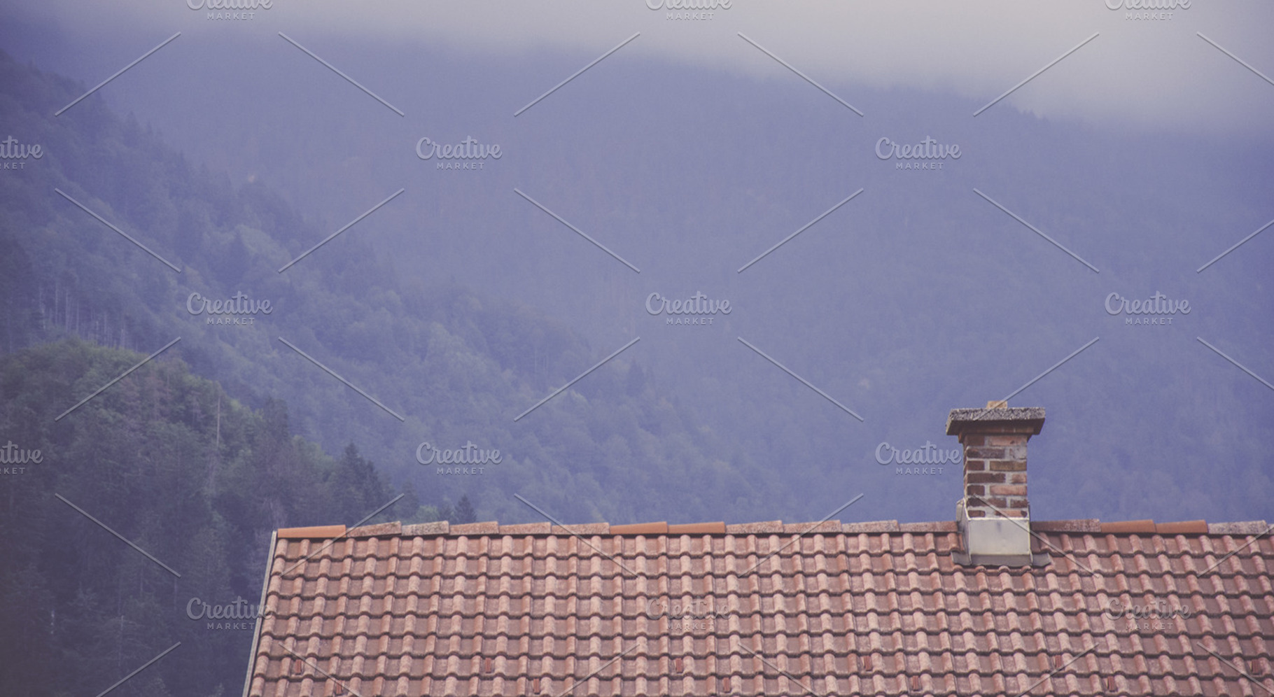 Roof Top and Forest Behind