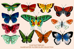 12 Set Butterflies & Pattern.