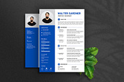 10 Clean Canva Resume Templates, a Print Template by Waliullah Solutions (Thumbnail 2 of 5)