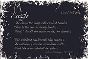 eagle 1, a Font by diyos lab design (Thumbnail 3 of 3)