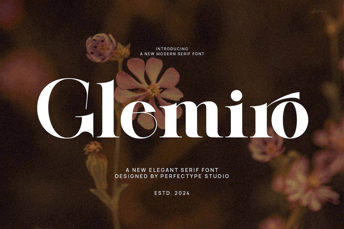 Gelmiro Elegant Serif Font, a Serif Font by Perfectype (Photo 1 of 8)