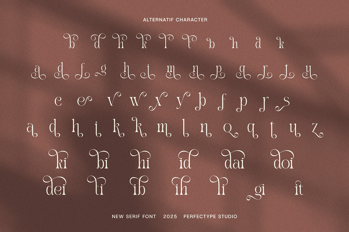 Riukin Elegant Serif Font, a Serif Font by Perfectype (Photo 8 of 8)