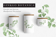 Ginkgo Botanica - Florals & Leaves, a Texture Illustration by Momo Studio (Thumbnail 2 of 12)