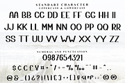 Bright moon, a Script Font by InermediaSTUDIO (Thumbnail 5 of 8)