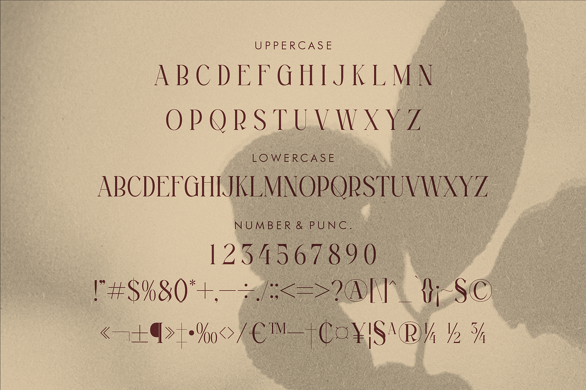 Magfire Hyena Modern Serif Font, a Serif Font by Storytype Studio (Photo 13 of 15)