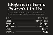 Giantrick, a Serif Font by HKL Studio (Thumbnail 6 of 11)