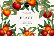 Vintage Peach Graphic Collection #01, a Decorative Illustration by Olga Begak Art & Design (Thumbnail 1 of 9)