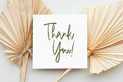 Mango Driver - Signature Brush, a Handwritten Font by tebaltipislab (Thumbnail 9 of 10)