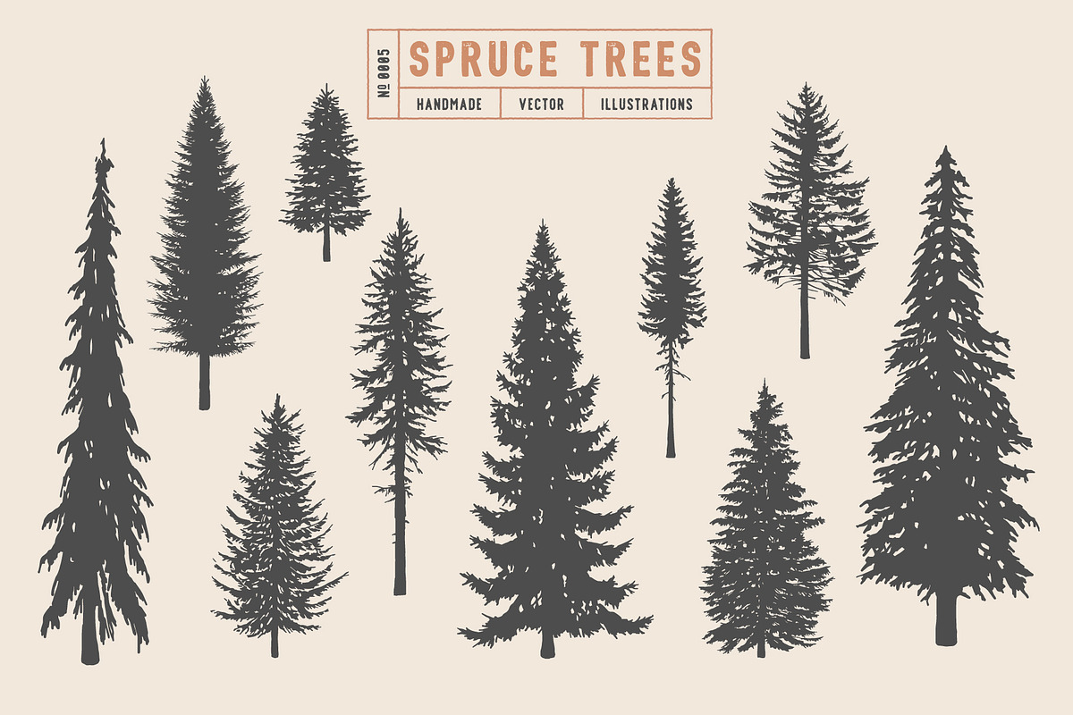 Woodland Tree Set | Illustrations, an Illustration by Max Lockwood (Photo 6 of 6)
