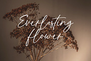 Thunderstone Handwritten Font, a Handwritten Font by UICreative (Thumbnail 5 of 11)