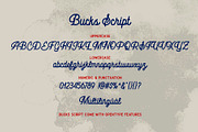 Bucks, a Script Font by Secondivison Supply (Thumbnail 5 of 9)