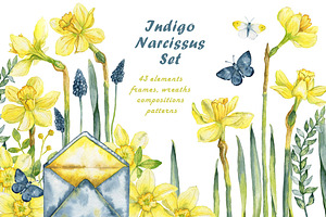 Indigo Narsissus Set