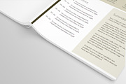 Exclusive modern Resume (CV) - gray, a Resume Template by DutchDigitalDesign (Thumbnail 4 of 5)