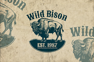 300 Wild West Western Illustrations