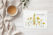 Wildflower Watercolor Collection, a Decorative Illustration by Anna Druzhkova (Thumbnail 19 of 23)