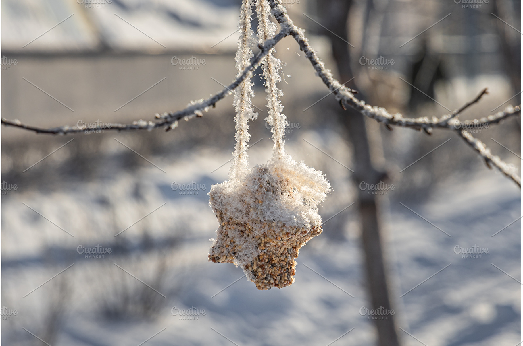 A bird feeder from brown seeds is on, a Nature Photo by Illustrations&photos