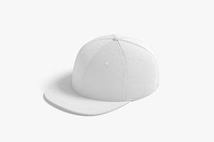 Shapback Cap 3D Model